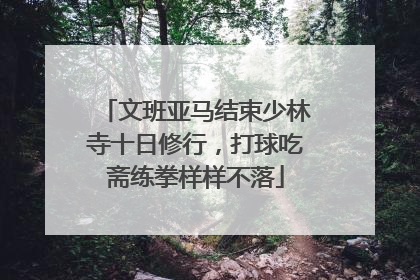 文班亚马结束少林寺十日修行，打球吃斋练拳样样不落