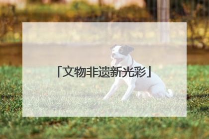 文物非遗新光彩