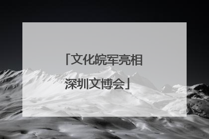 文化皖军亮相深圳文博会