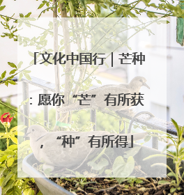 文化中国行｜芒种：愿你“芒”有所获，“种”有所得