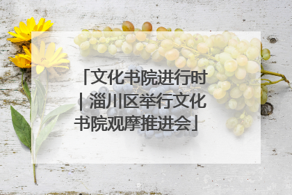 文化书院进行时｜淄川区举行文化书院观摩推进会