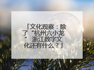 文化观察：除了“杭州六小龙” 浙江数字文化还有什么？