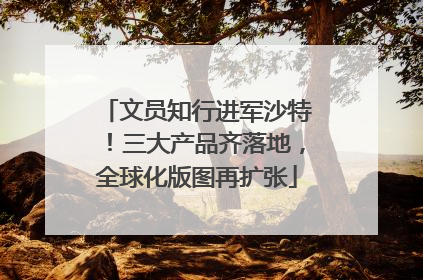 文员知行进军沙特！三大产品齐落地，全球化版图再扩张