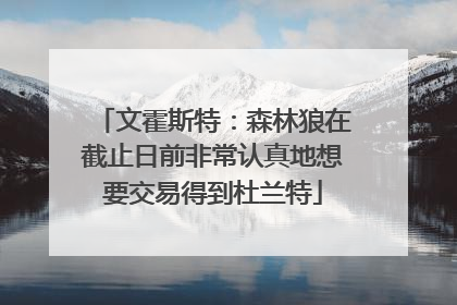 文霍斯特：森林狼在截止日前非常认真地想要交易得到杜兰特