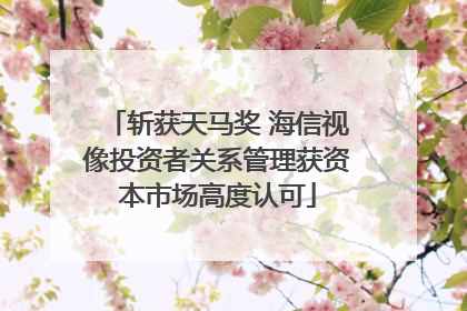 斩获天马奖 海信视像投资者关系管理获资本市场高度认可