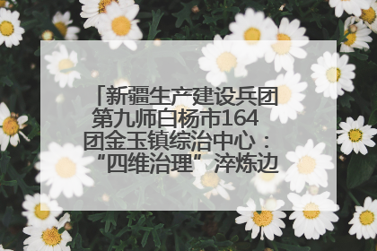 新疆生产建设兵团第九师白杨市164团金玉镇综治中心：“四维治理”淬炼边疆“枫桥样本”