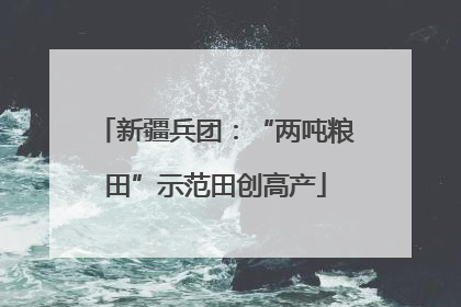新疆兵团：“两吨粮田”示范田创高产