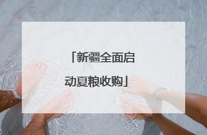 新疆全面启动夏粮收购