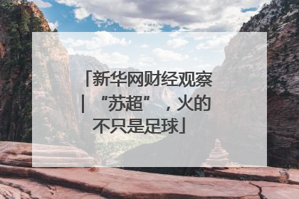新华网财经观察｜“苏超”，火的不只是足球