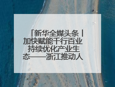 新华全媒头条丨加快赋能千行百业 持续优化产业生态——浙江推动人工智能健康有序发展观察