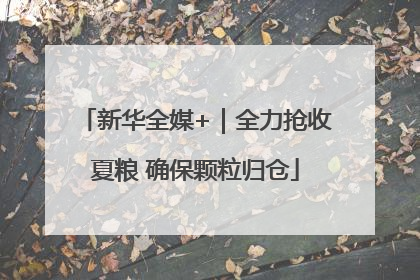 新华全媒+｜全力抢收夏粮 确保颗粒归仓