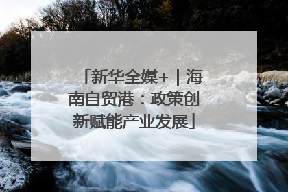 新华全媒+｜海南自贸港：政策创新赋能产业发展