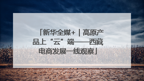 新华全媒+｜高原产品上“云”端——西藏电商发展一线观察