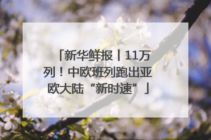 新华鲜报丨11万列！中欧班列跑出亚欧大陆“新时速”
