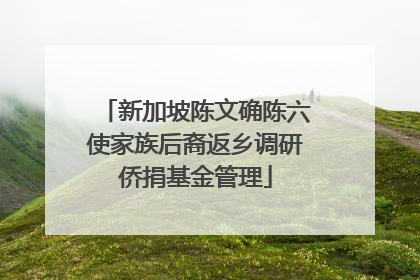 新加坡陈文确陈六使家族后裔返乡调研侨捐基金管理