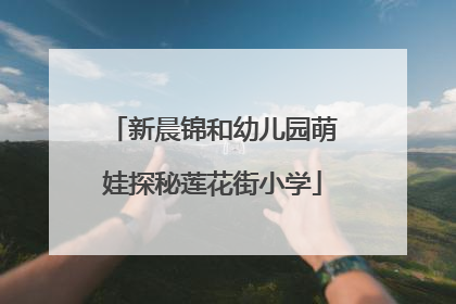 新晨锦和幼儿园萌娃探秘莲花街小学