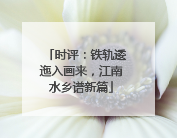 时评：铁轨逶迤入画来，江南水乡谱新篇