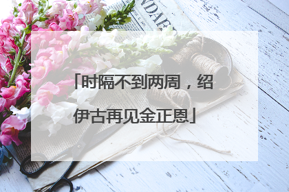 时隔不到两周，绍伊古再见金正恩