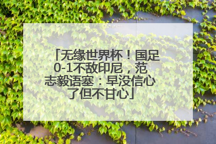 无缘世界杯！国足0-1不敌印尼，范志毅语塞：早没信心了但不甘心