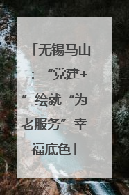 无锡马山：“党建+”绘就“为老服务”幸福底色