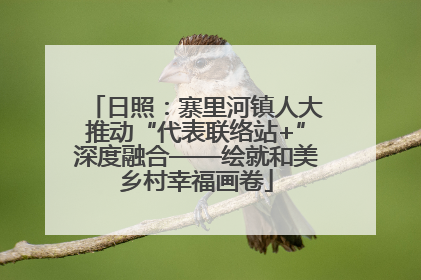 日照：寨里河镇人大推动“代表联络站+”深度融合——绘就和美乡村幸福画卷