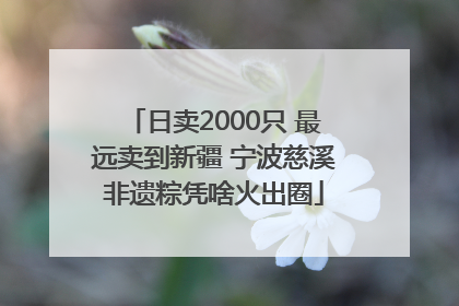 日卖2000只 最远卖到新疆 宁波慈溪非遗粽凭啥火出圈