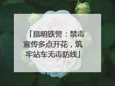 昆明铁警：禁毒宣传多点开花，筑牢站车无毒防线