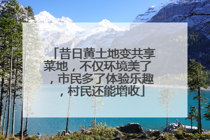 昔日黄土地变共享菜地，不仅环境美了，市民多了体验乐趣，村民还能增收