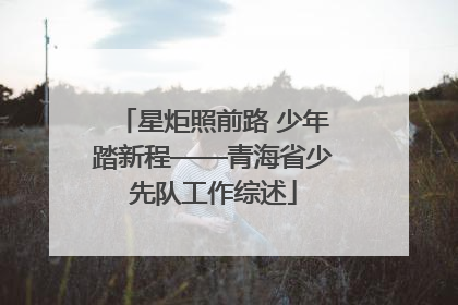 星炬照前路 少年踏新程——青海省少先队工作综述