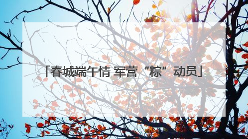 春城端午情 军营“粽”动员