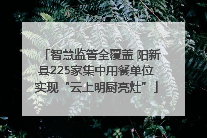 智慧监管全覆盖 阳新县225家集中用餐单位实现“云上明厨亮灶”