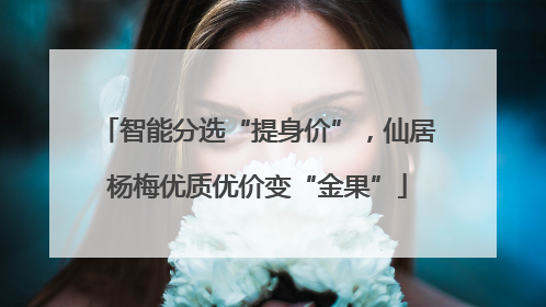 智能分选“提身价”，仙居杨梅优质优价变“金果”