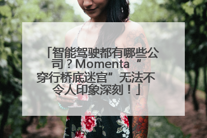 智能驾驶都有哪些公司？Momenta“穿行桥底迷宫”无法不令人印象深刻！