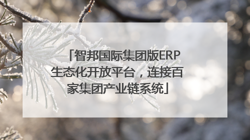 智邦国际集团版ERP生态化开放平台，连接百家集团产业链系统
