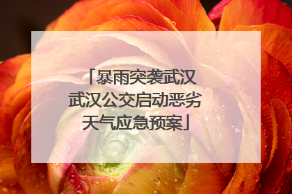 暴雨突袭武汉 武汉公交启动恶劣天气应急预案