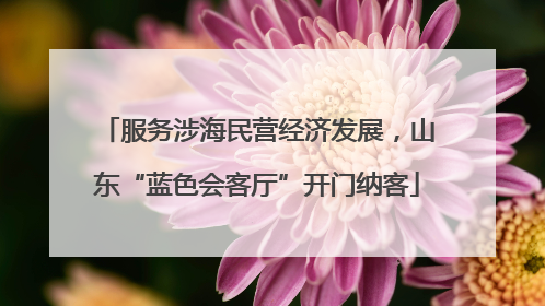 服务涉海民营经济发展，山东“蓝色会客厅”开门纳客