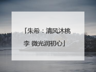 朱希：清风沐桃李 微光润初心