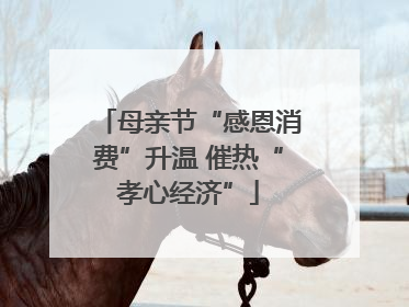 母亲节“感恩消费”升温 催热“孝心经济”