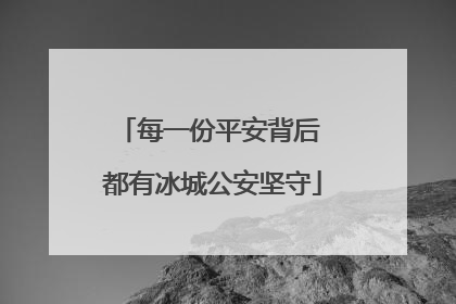 每一份平安背后 都有冰城公安坚守