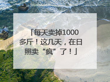 每天卖掉1000多斤！这几天，在日照卖“疯”了！