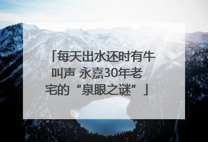 每天出水还时有牛叫声 永嘉30年老宅的“泉眼之谜”