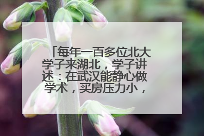 每年一百多位北大学子来湖北，学子讲述：在武汉能静心做学术，买房压力小，创业成本低