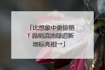 比想象中更惊艳！昆明滇池绿道新地标亮相→