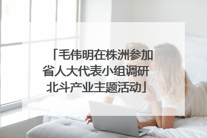 毛伟明在株洲参加省人大代表小组调研北斗产业主题活动