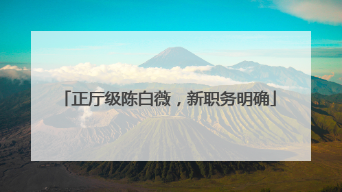 正厅级陈白薇，新职务明确