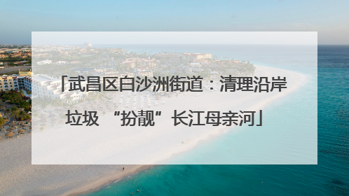 武昌区白沙洲街道：清理沿岸垃圾 “扮靓”长江母亲河