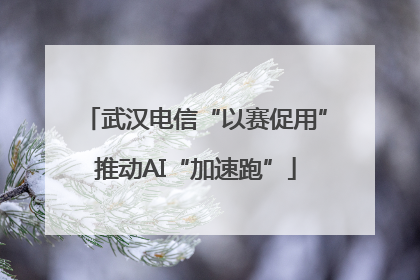 武汉电信“以赛促用”推动AI“加速跑”