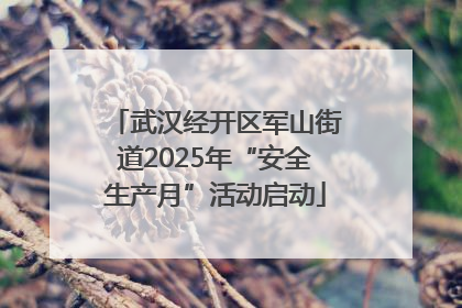 武汉经开区军山街道2025年“安全生产月”活动启动