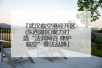 武汉临空港经开区(东西湖区)聚力打造“法润网谷 律护临空”普法品牌