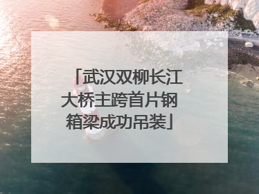武汉双柳长江大桥主跨首片钢箱梁成功吊装